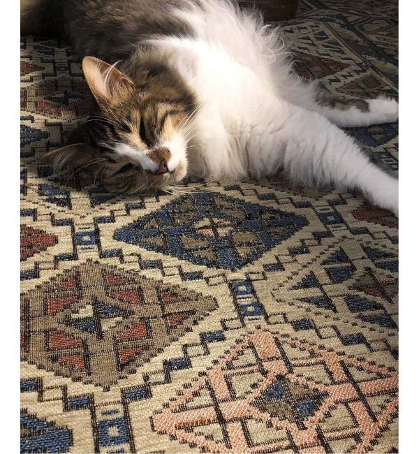 ACME「GLENOAKS RUG 120x160 グレンオークスラグ」|その他|