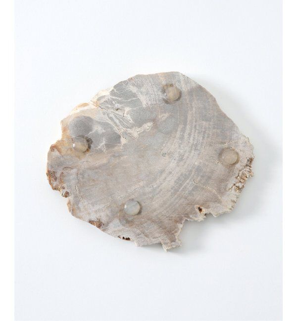 journal standard Furniture「PETRIFIED WOOD PLATE ウッドプレートS」|香水・フレグランス|