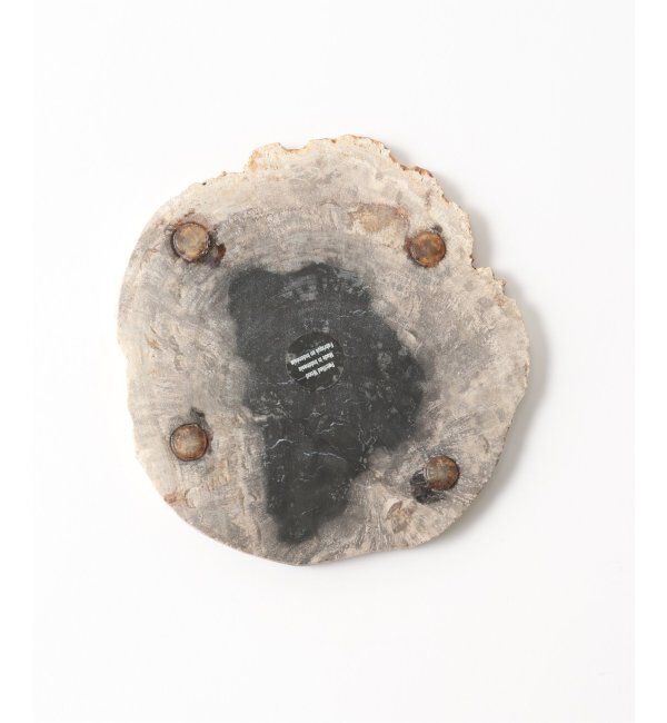 journal standard Furniture「PETRIFIED WOOD PLATE ウッドプレートS」|香水・フレグランス|