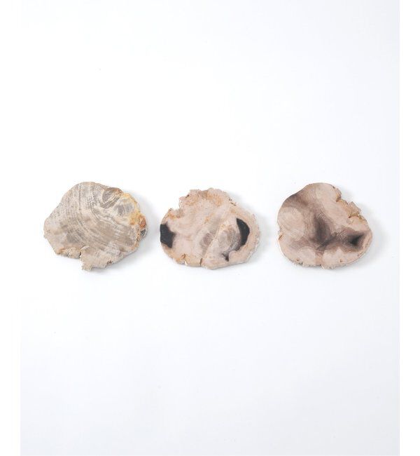journal standard Furniture「PETRIFIED WOOD PLATE ウッドプレートS」|香水・フレグランス|