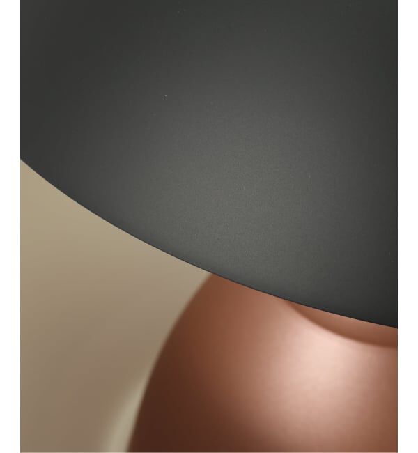 journal standard Furniture「【DCW editions】HERE COMES THE SUN 350　ペンダントランプ」|その他|