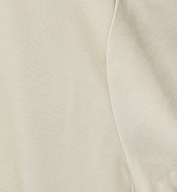 ABAHOUSE「【クルーネック】ECO VERO レーヨンポンチTシャツ / ロンT」|Tシャツ・カットソー|