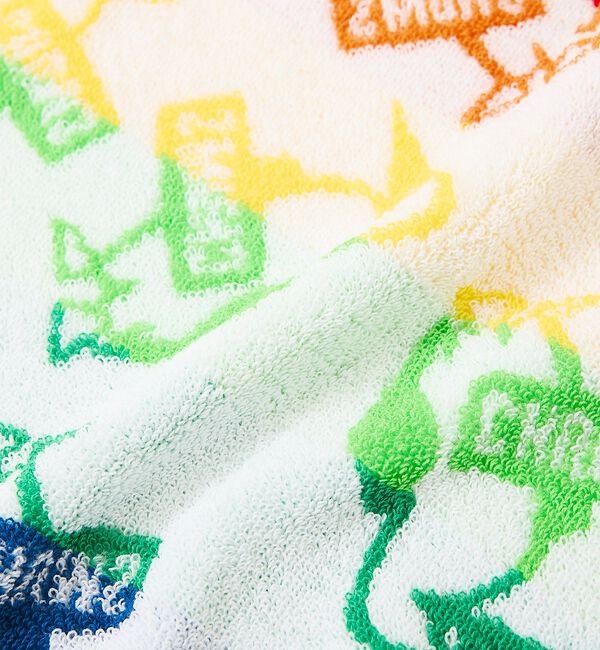 ABAHOUSE「【CHUMS / チャムス】 Face Towel / フェイスタオル / 今治」|その他|