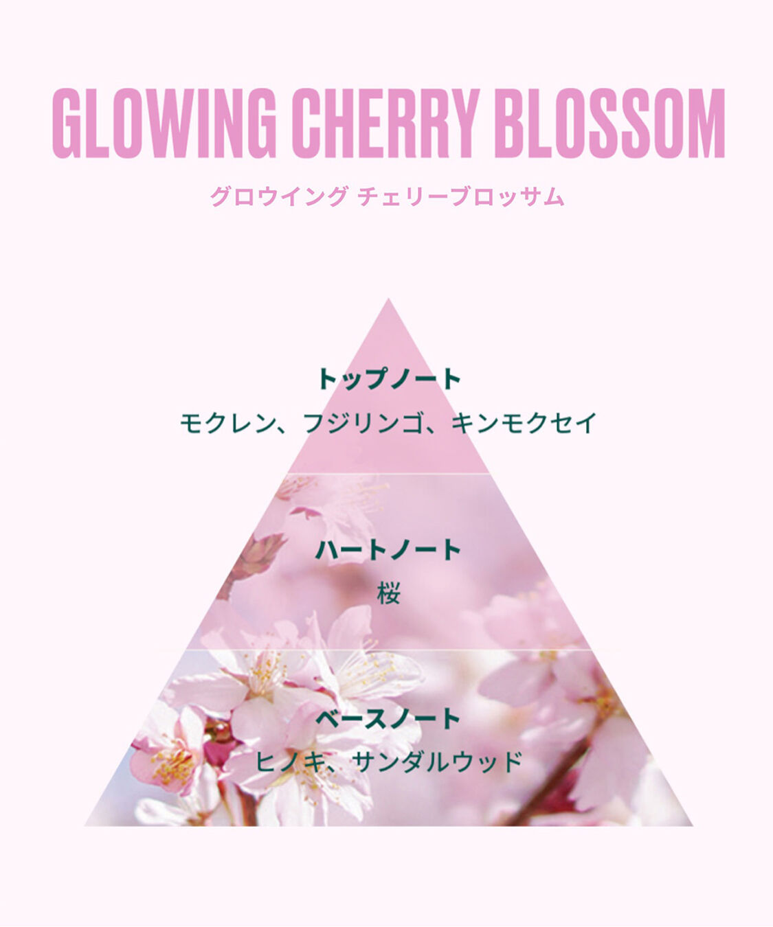 THE BODY SHOP「【数量限定】グロウイング チェリーブロッサム オードトワレ 9.5mL」|香水・フレグランス|
