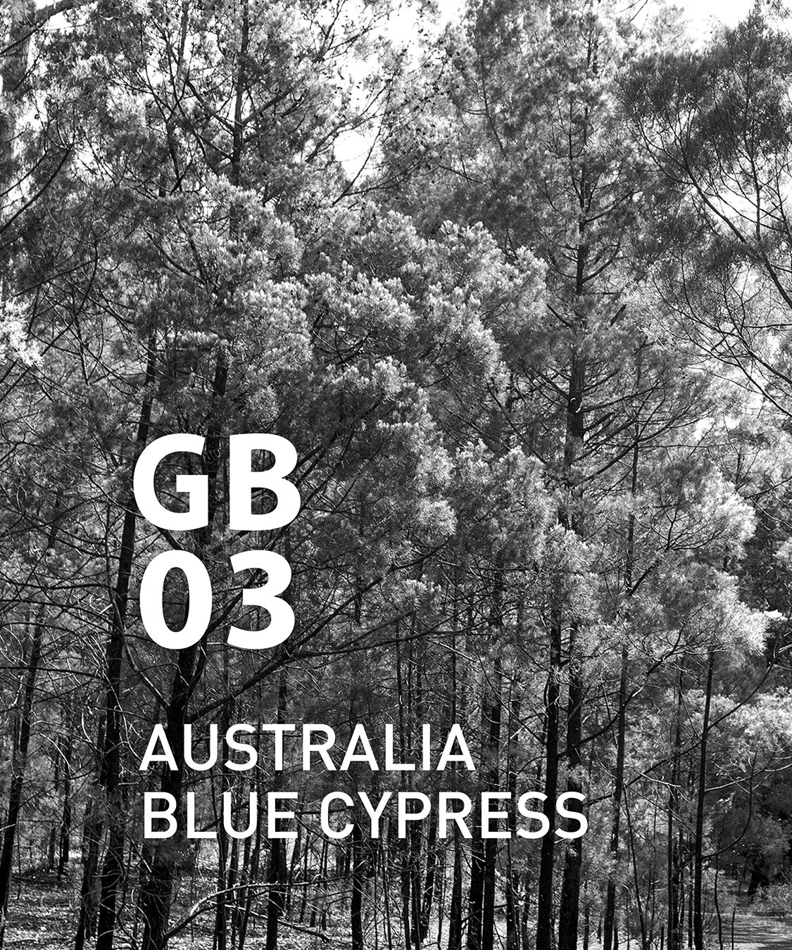 アットアロマ「GB03 オーストラリアブルーサイプレス 10ml」|アロマ・ルームフレグランス|