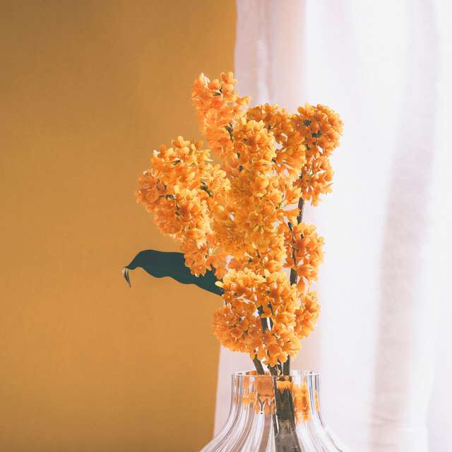 Flora Notis JILL STUART「フローラノーティス ジルスチュアート スウィートオスマンサス トリートメント バスエッセンスＮ」|入浴剤・バスグッズ|