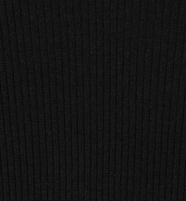 GALERIE VIE「プルミエールウールリブ タートルネックプルオーバー」|ニット・セーター|