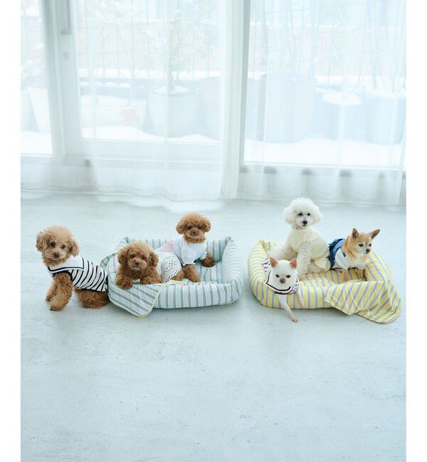 ROPE PICNIC PASSAGE「【DOG】マルチストライプひんやりベッド」|その他|