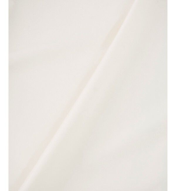 Rope&rsquo;Picnic「シアーボリュームスリーブカットトップス」|Tシャツ・カットソー|