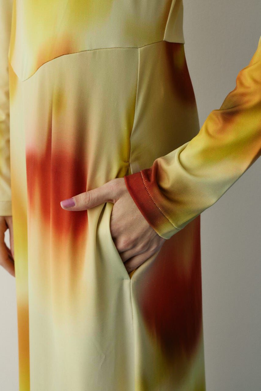 HeRIN.CYE「［予約］Paprika pattern dress」|ワンピース|