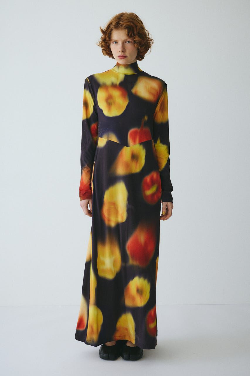 HeRIN.CYE「［予約］Paprika pattern dress」|ワンピース|