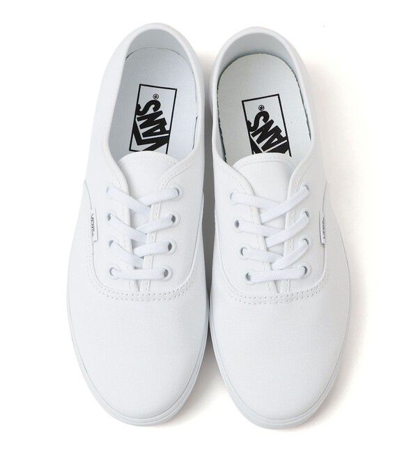 SHIPS for women「VANS:AUTHENTIC LOWPRO」|スニーカー|