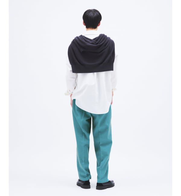 JOURNAL STANDARD「Dickies / ディッキーズ 別注 リゾート ステート パンツ」|その他|