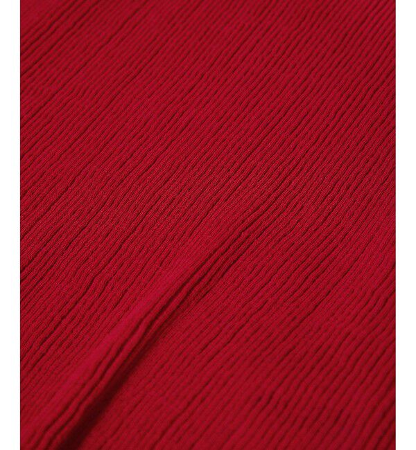 SALON adam et rope'「【WEB限定】シアーリブニットハーフスリーブプルオーバー」|Tシャツ・カットソー|