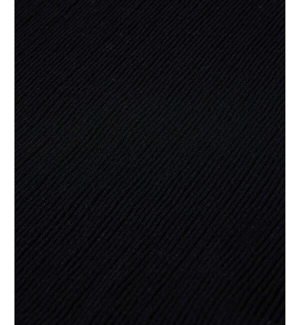 SALON adam et rope'「【WEB限定】シアーリブニットハーフスリーブプルオーバー」|Tシャツ・カットソー|