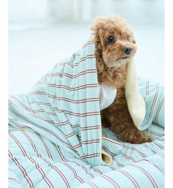 ROPE PICNIC PASSAGE「【DOG】マルチストライプひんやりブランケット」|その他|