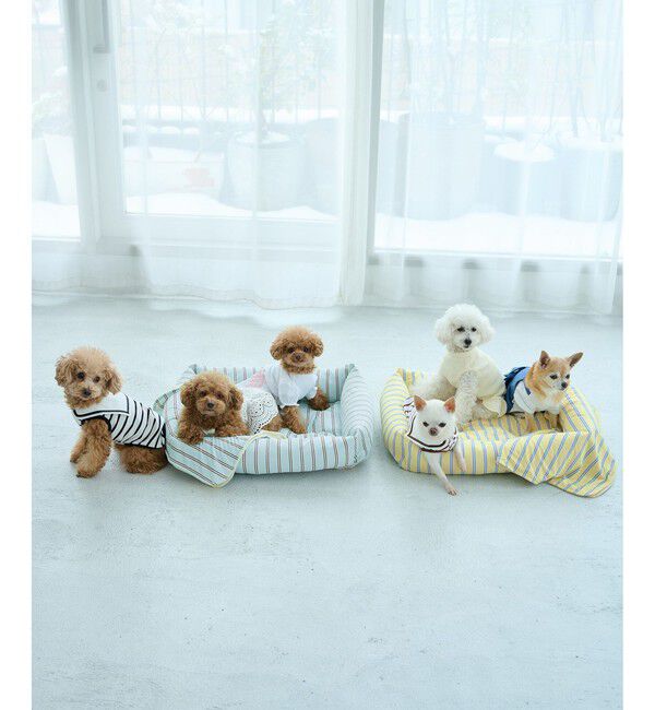 ROPE PICNIC PASSAGE「【DOG】マルチストライプひんやりブランケット」|その他|