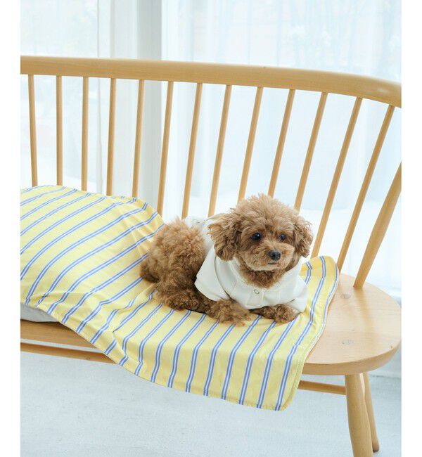 ROPE PICNIC PASSAGE「【DOG】マルチストライプひんやりブランケット」|その他|