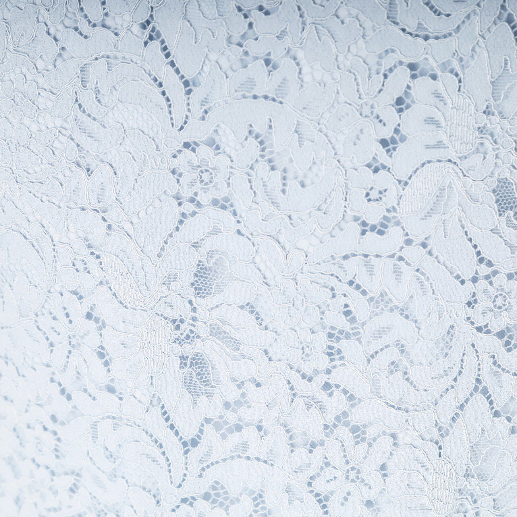 COUP DE CHANCE「【洗える】レースタイトスカート」|スカート|