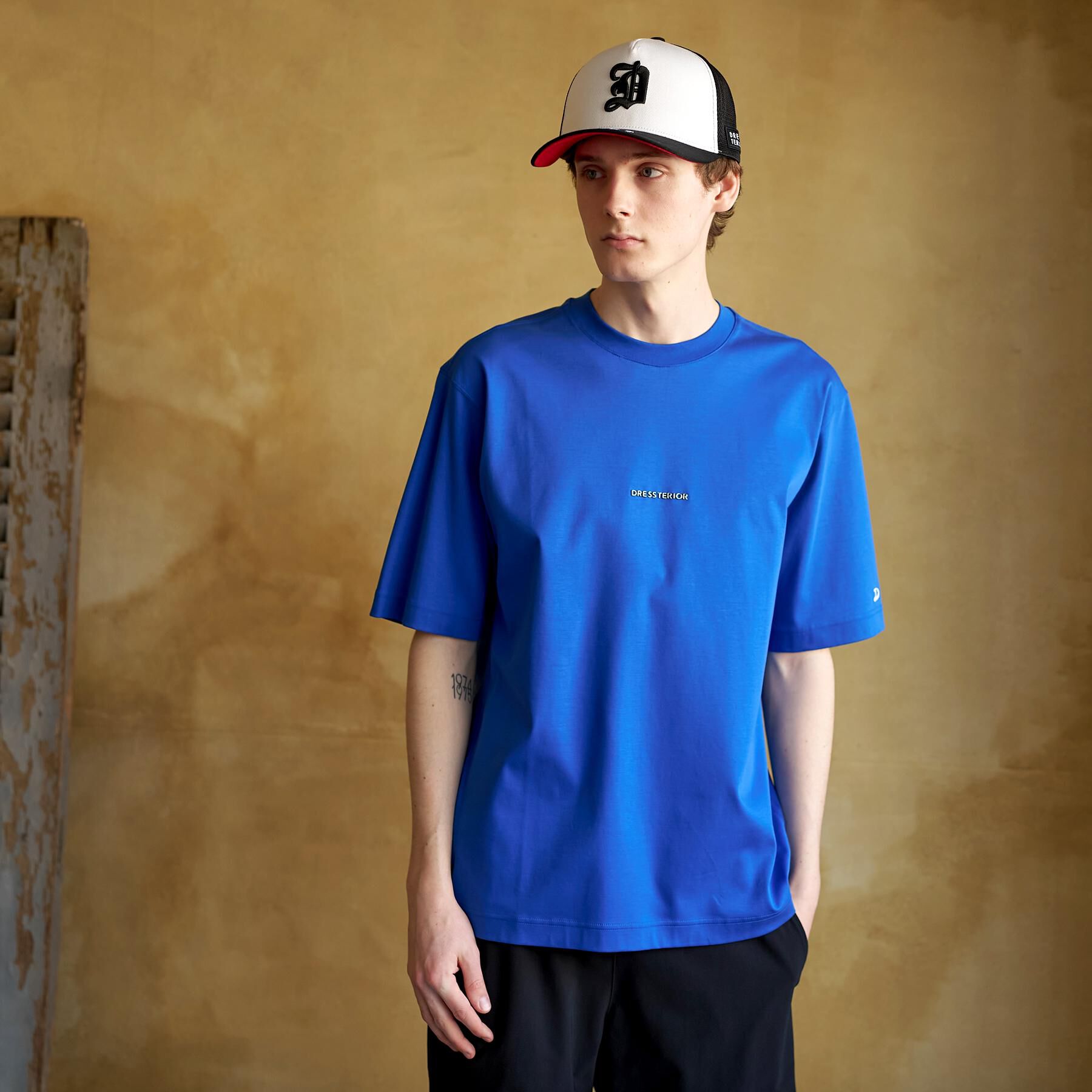 DRESSTERIOR「【接触冷感／抗菌防臭／消臭】ICE CLEAR COTTON NINEストリートTシャツ」|Tシャツ・カットソー|