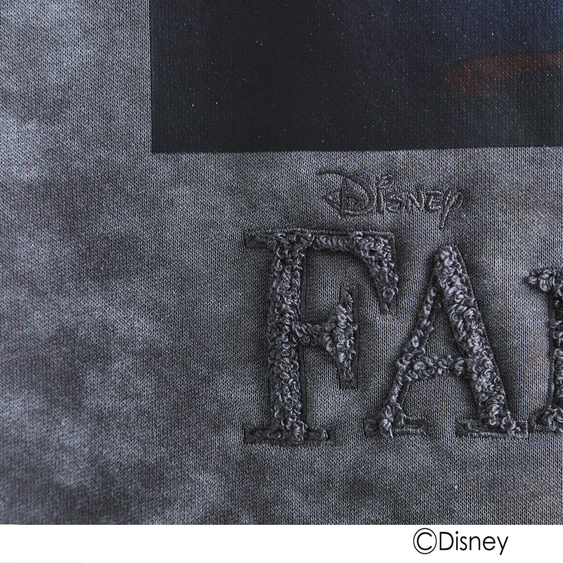 tk.TAKEO KIKUCHI「ディズニーカプセルコレクション『ファンタジア』パーカー」|パーカー|