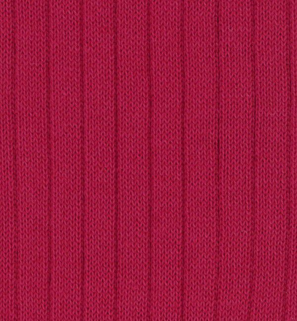 UNITED ARROWS「 カラー リブソックス」|ソックス|