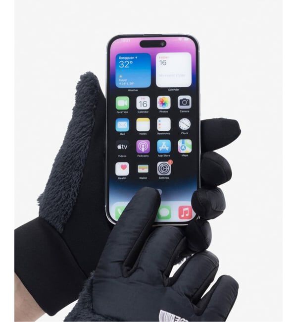 JOURNAL STANDARD relume「THE NORTH FACE / ザノースフェイス デナリイーチップグローブ NN62522」|手袋|