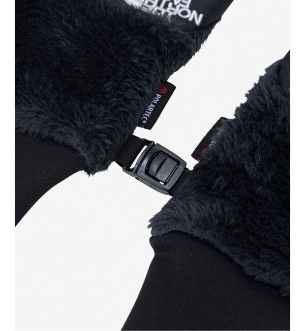 JOURNAL STANDARD relume「THE NORTH FACE / ザノースフェイス デナリイーチップグローブ NN62522」|手袋|