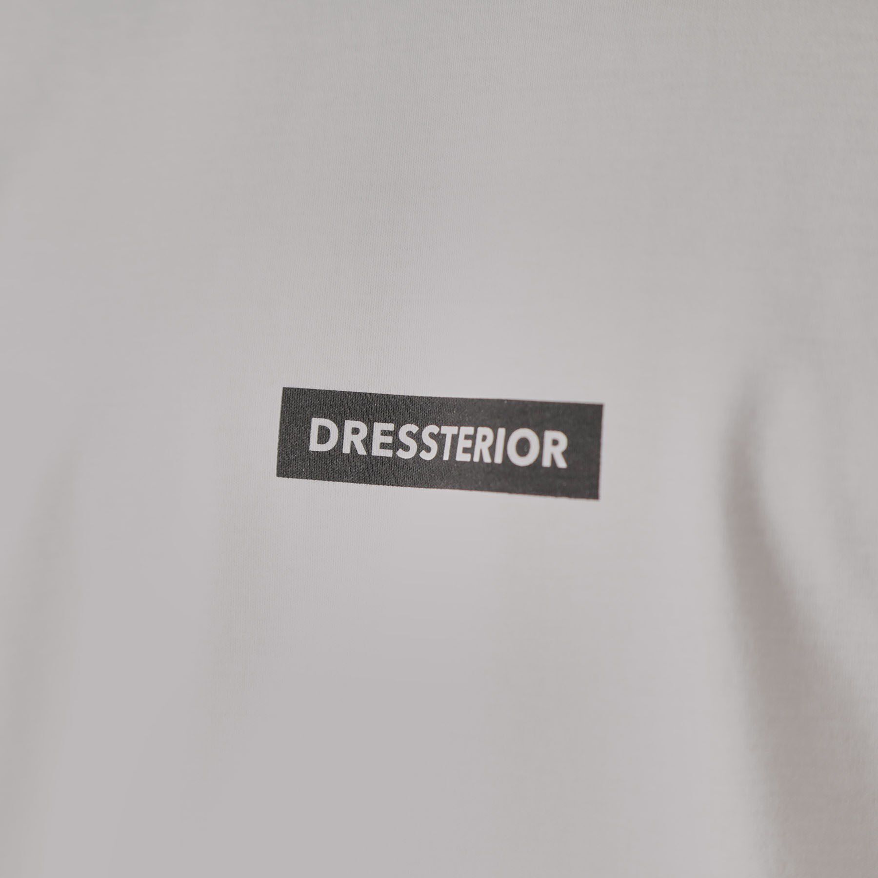 DRESSTERIOR「【接触冷感／抗菌防臭／消臭】ICE CLEAR COTTON NINEストリートTシャツ」|Tシャツ・カットソー|