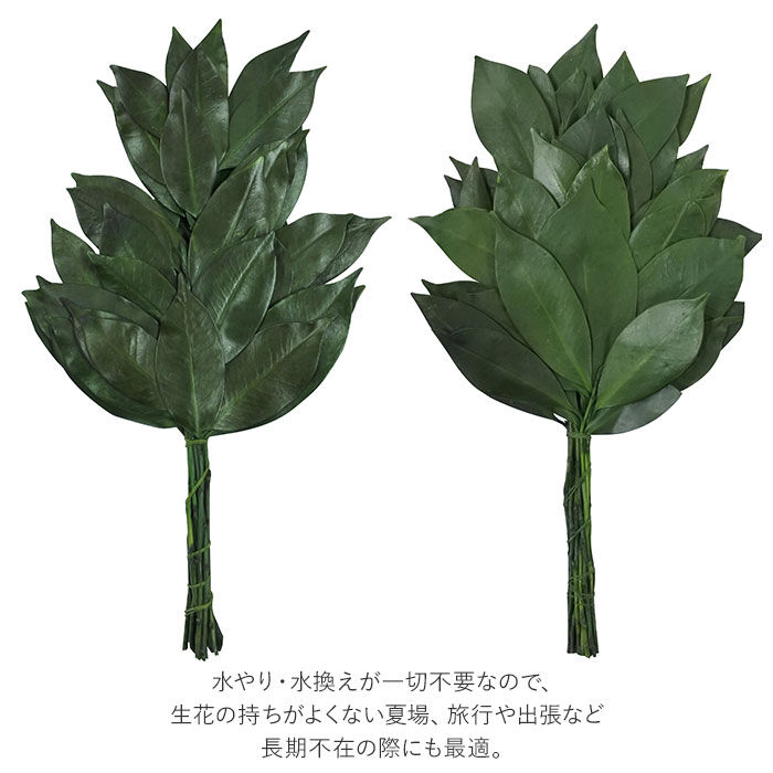 BACKYARD FAMILY「プリザーブド 榊 通販 25cm 一対 プリザーブド榊 さかき サカキ 2本 枯れない 水やり不要」|その他|