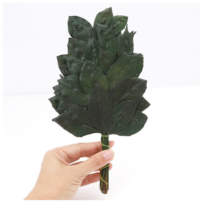 BACKYARD FAMILY「プリザーブド 榊 通販 25cm 一対 プリザーブド榊 さかき サカキ 2本 枯れない 水やり不要」|その他|