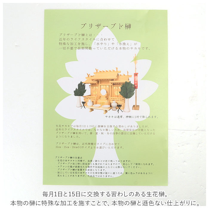 BACKYARD FAMILY「プリザーブド 榊 通販 25cm 一対 プリザーブド榊 さかき サカキ 2本 枯れない 水やり不要」|その他|