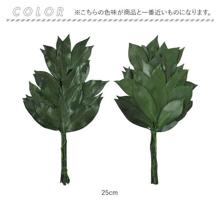 BACKYARD FAMILY「プリザーブド 榊 通販 25cm 一対 プリザーブド榊 さかき サカキ 2本 枯れない 水やり不要」|その他|