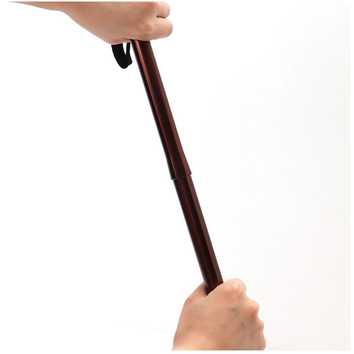 BACKYARD FAMILY「杖 折りたたみ 通販 愛杖 Dシリーズ 折りたたみタイプ ステッキ つえ ツエ ケイホスピア」|その他|