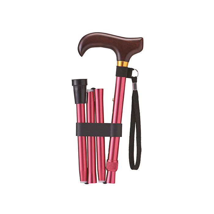 BACKYARD FAMILY「杖 折りたたみ 通販 愛杖 Dシリーズ 折りたたみタイプ ステッキ つえ ツエ ケイホスピア」|その他|