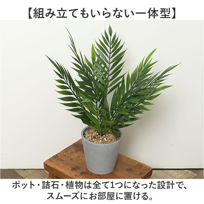 BACKYARD FAMILY「観葉植物 フェイク 大型 通販 フェイクグリーン ヤシ アーティフィシャルグリーン」|その他|