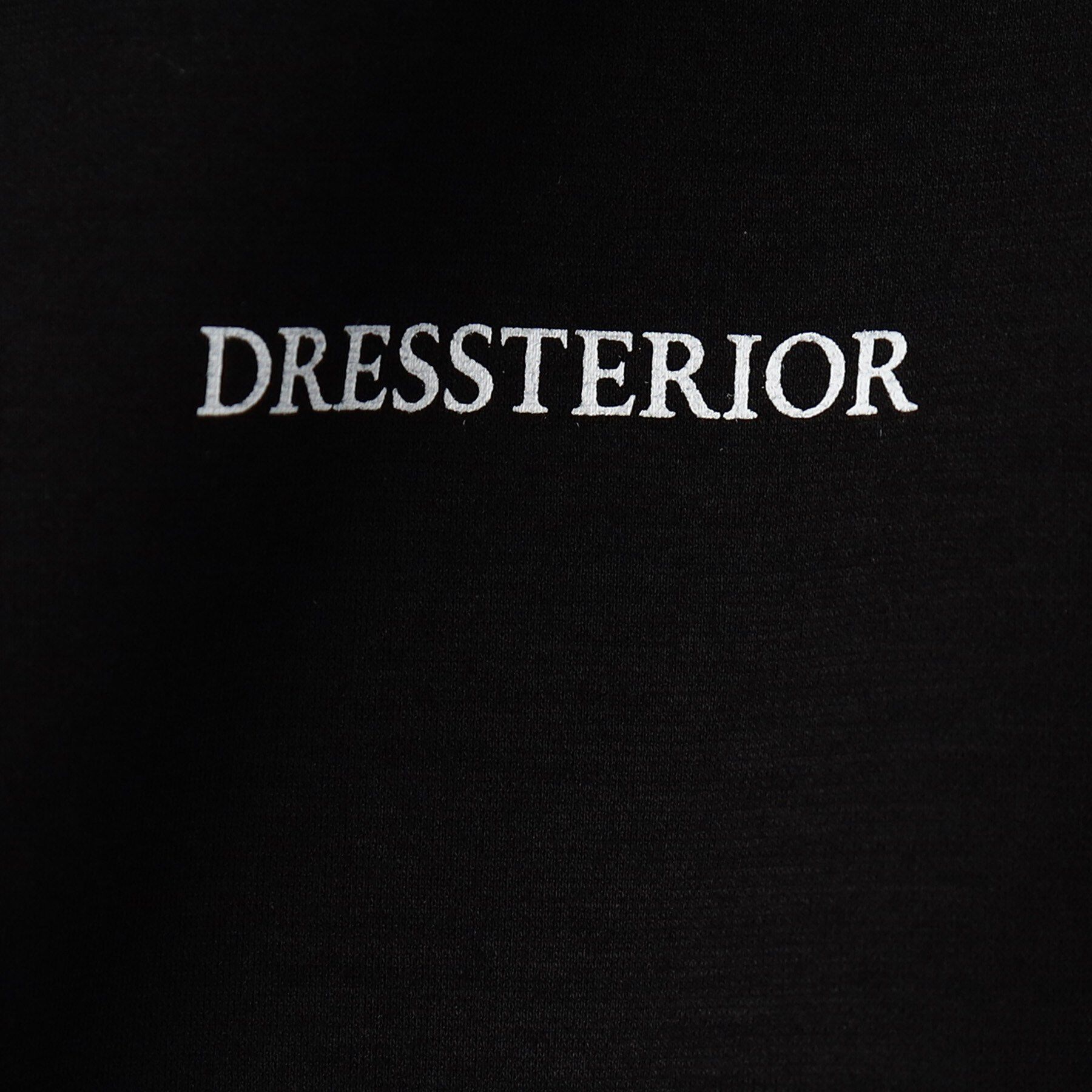 DRESSTERIOR「【接触冷感／UVカット／抗菌防臭／しわ防止】クールデオドラント ロゴTシャツ」|Tシャツ・カットソー|