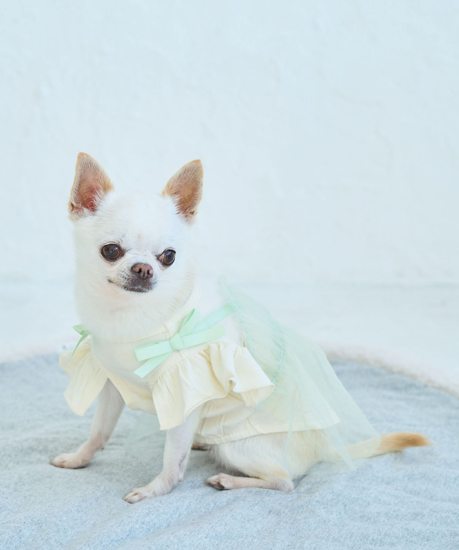 ROPE PICNIC PASSAGE「【DOG】キャミチュールドッキングワンピース」|その他|