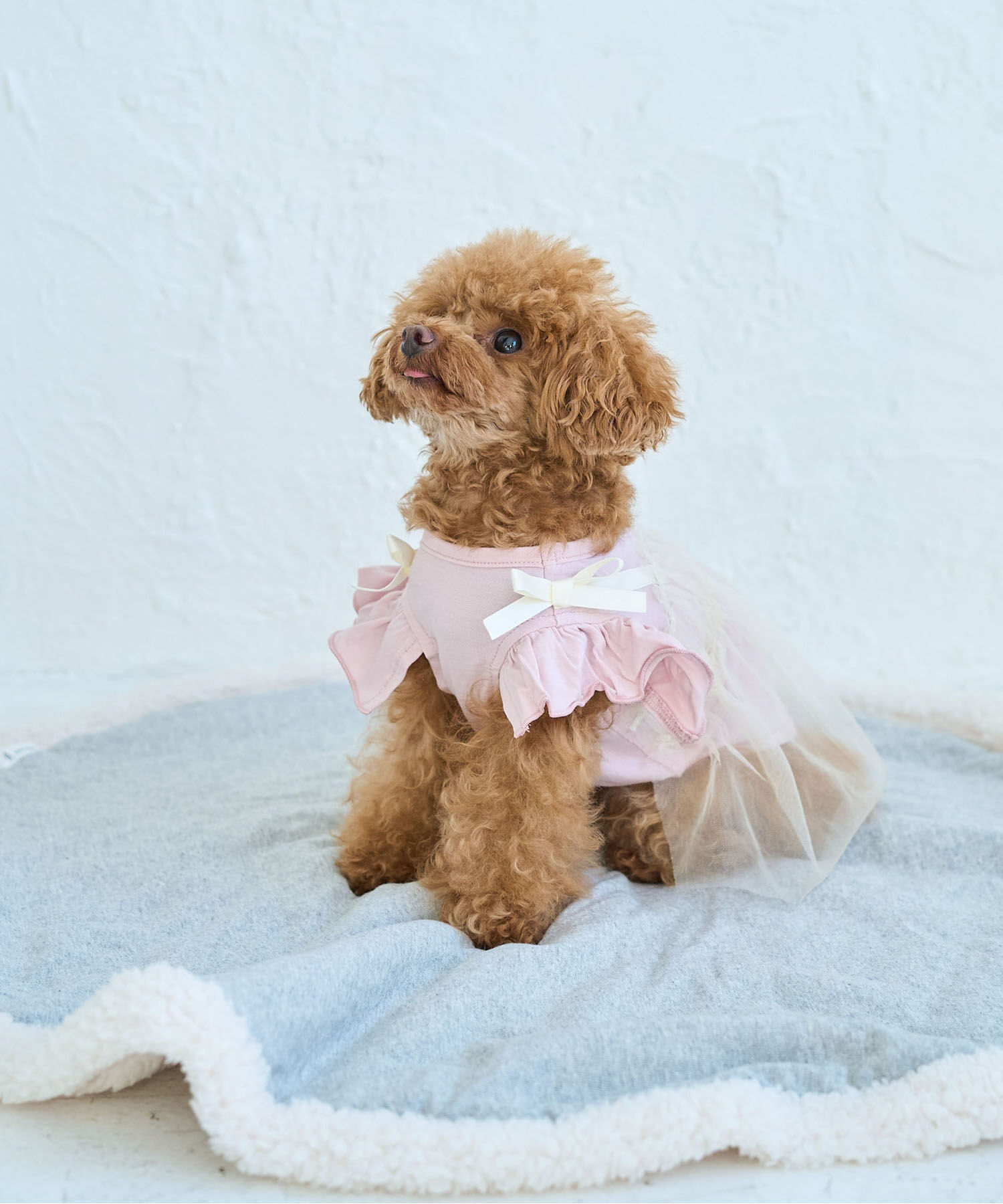 ROPE PICNIC PASSAGE「【DOG】キャミチュールドッキングワンピース」|その他|