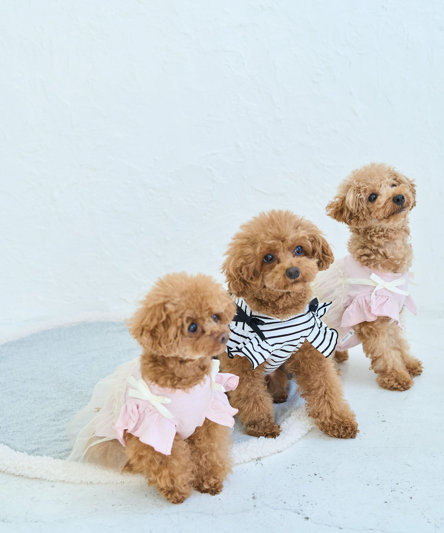 ROPE PICNIC PASSAGE「【DOG】キャミチュールドッキングワンピース」|その他|