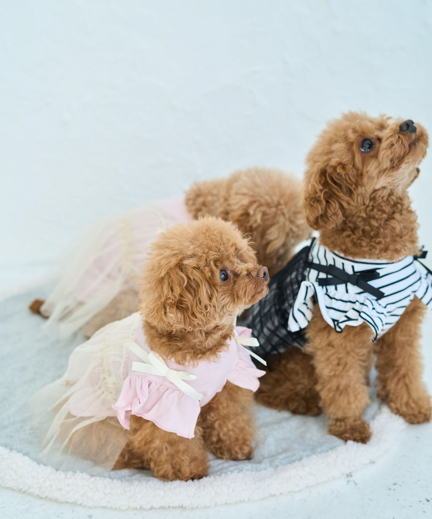 ROPE PICNIC PASSAGE「【DOG】キャミチュールドッキングワンピース」|その他|