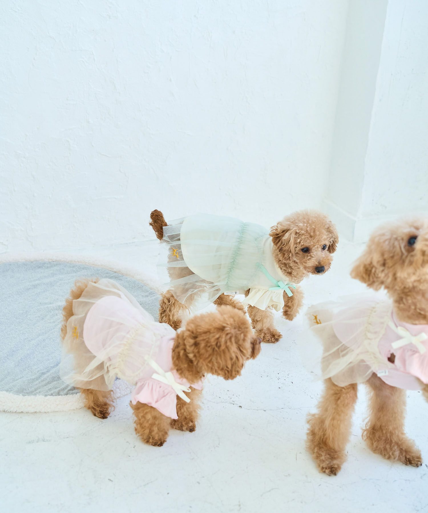 ROPE PICNIC PASSAGE「【DOG】キャミチュールドッキングワンピース」|その他|