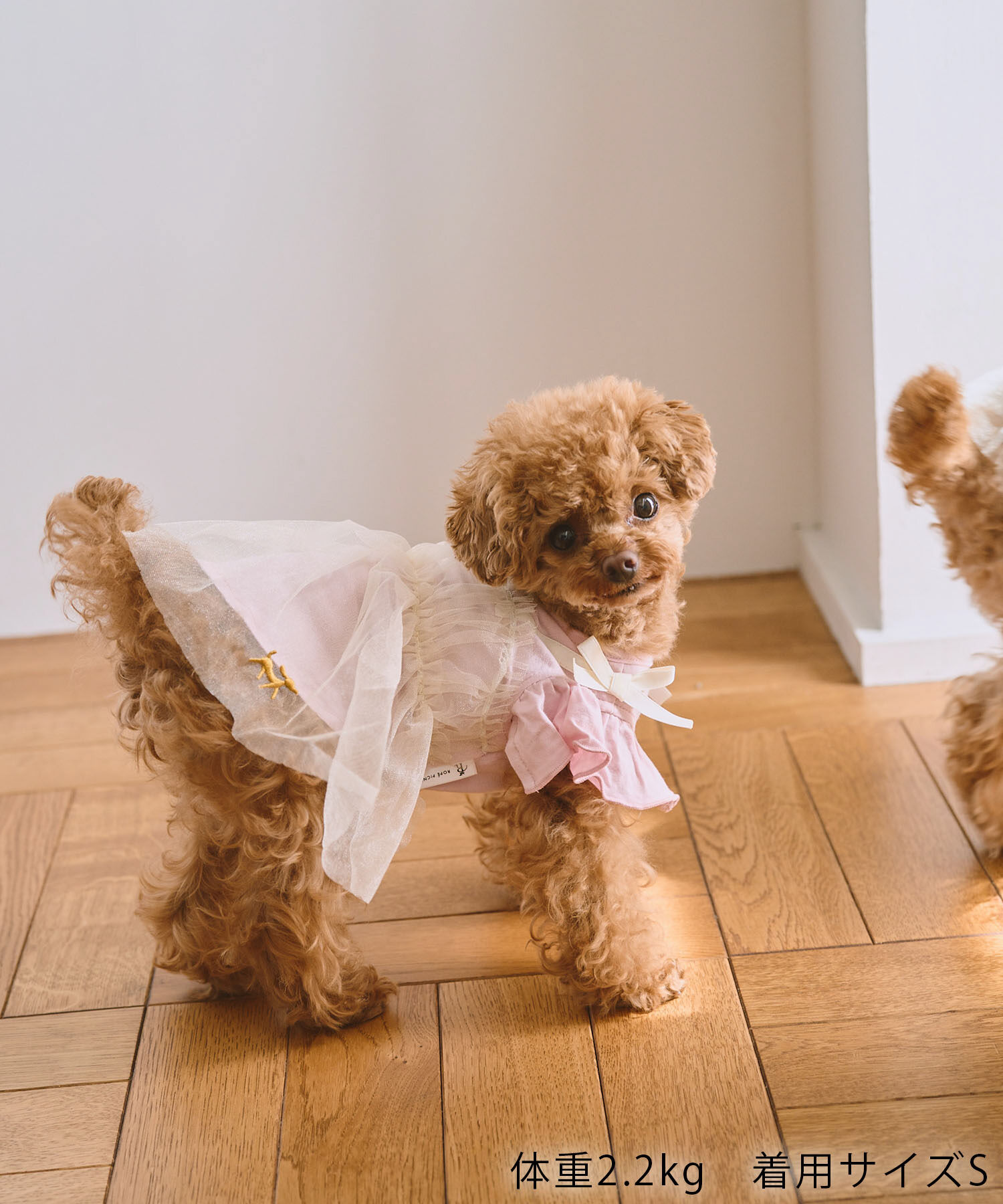 ROPE PICNIC PASSAGE「【DOG】キャミチュールドッキングワンピース」|その他|