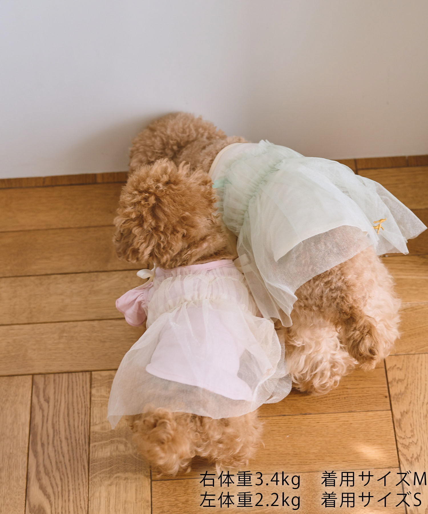 ROPE PICNIC PASSAGE「【DOG】キャミチュールドッキングワンピース」|その他|