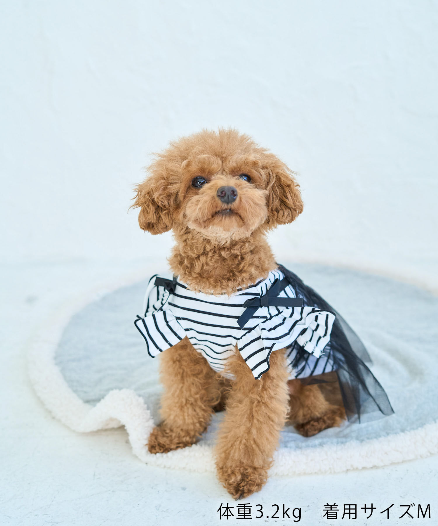 ROPE PICNIC PASSAGE「【DOG】キャミチュールドッキングワンピース」|その他|