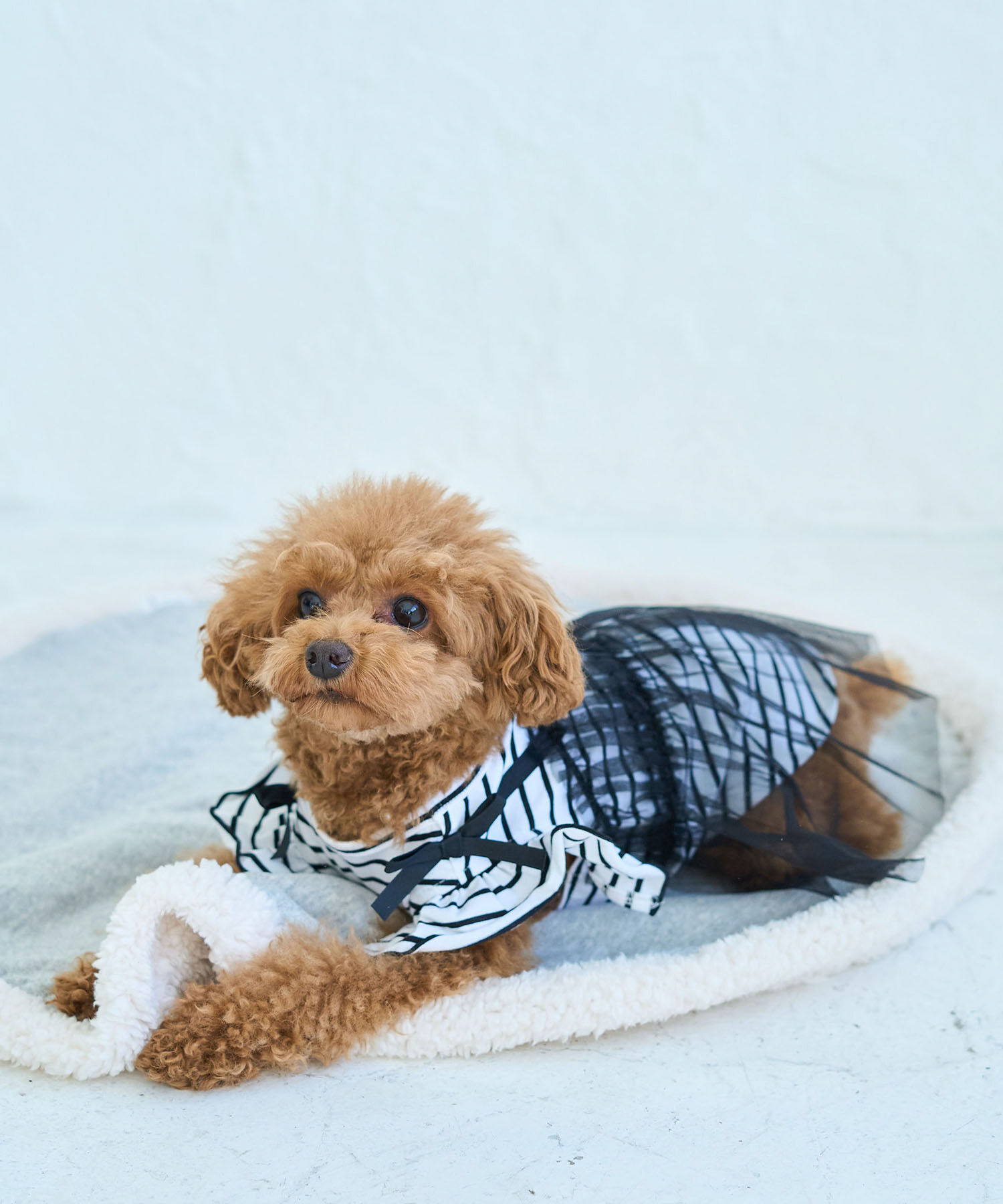 ROPE PICNIC PASSAGE「【DOG】キャミチュールドッキングワンピース」|その他|