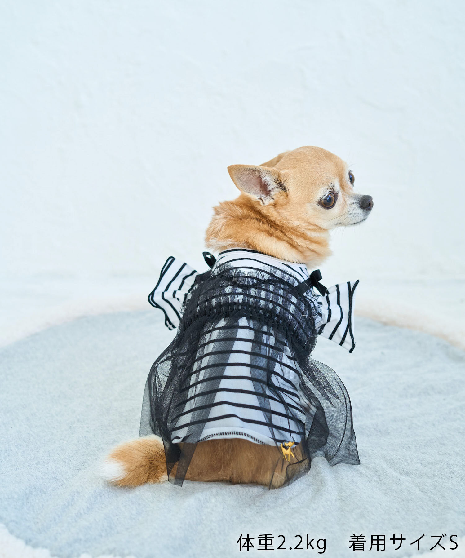 ROPE PICNIC PASSAGE「【DOG】キャミチュールドッキングワンピース」|その他|