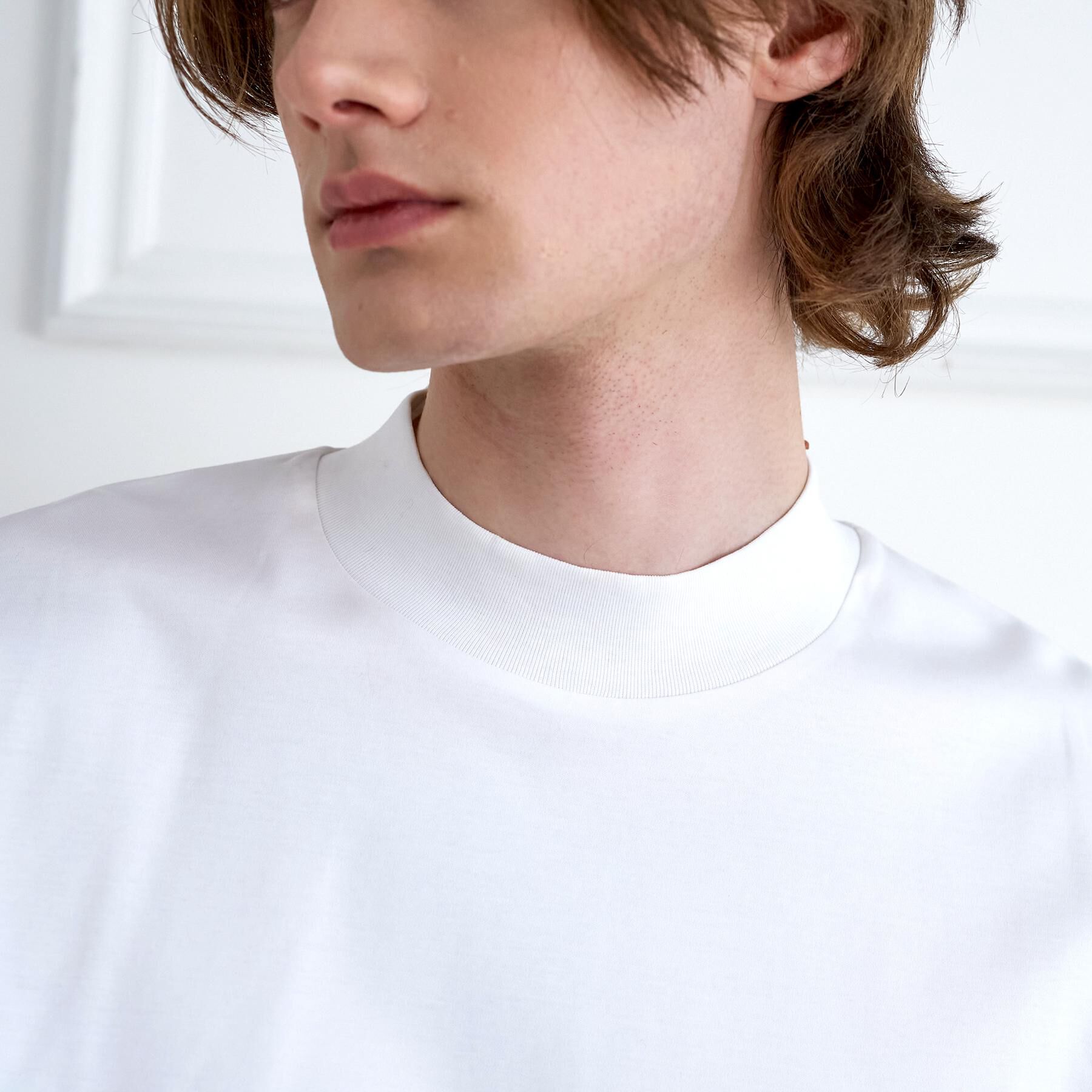 DRESSTERIOR「【接触冷感／抗菌防臭／消臭】ICE CLEAR COTTON モックネックTシャツ」|Tシャツ・カットソー|