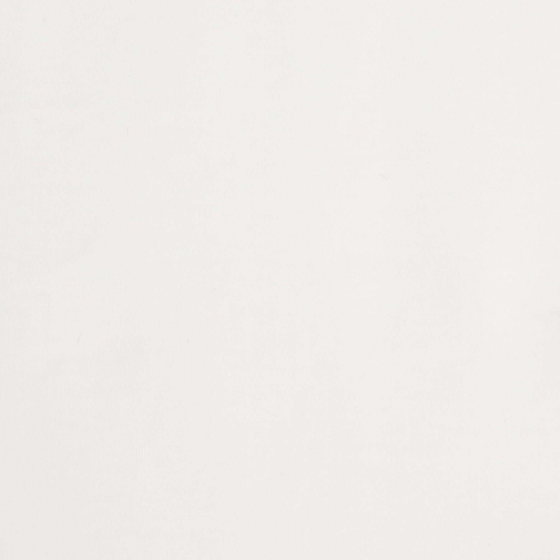 DRESSTERIOR「【接触冷感／抗菌防臭／消臭】ICE CLEAR COTTON モックネックTシャツ」|Tシャツ・カットソー|