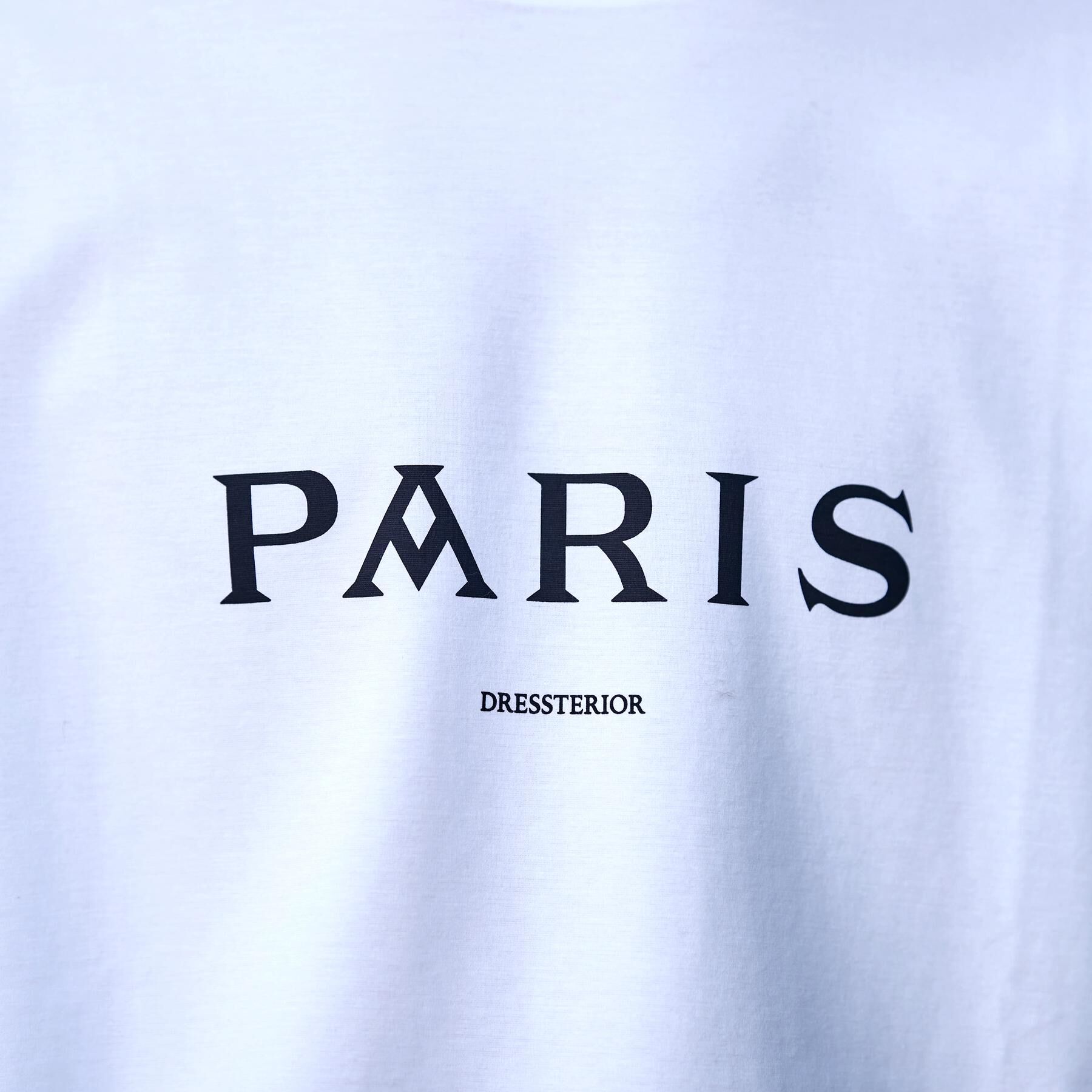 DRESSTERIOR「【接触冷感／UVカット／抗菌防臭／しわ防止】クールデオドラント ロゴTシャツ」|Tシャツ・カットソー|